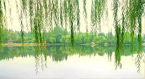 【養(yǎng)生知識】已入五九，六九將至，五九的養(yǎng)生秘訣，你知道嗎？