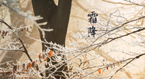 【二十四節(jié)氣灸】霜降節(jié)氣：艾灸四穴，護(hù)您冬天安然無恙！