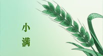 【二十四節(jié)氣灸】小滿節(jié)氣記得艾灸，悠悠長夏，健康度過！