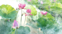 【養(yǎng)生知識】花開半夏，夏至養(yǎng)生，這些知識一定要牢記！