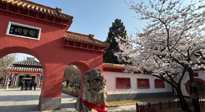 【行業(yè)資訊】新華財經：守正創(chuàng)新，中醫(yī)藥品牌化發(fā)展“更上一層樓”！