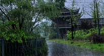 【艾灸知識】多雨的日子里，艾灸會不會加重濕氣呢？
